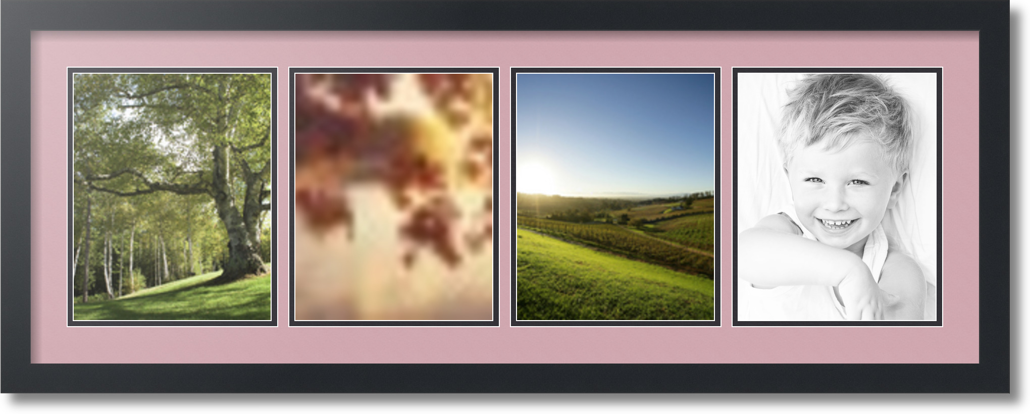 Satin Black Collage Picture Frame with 4 8x10 opening(s), Double