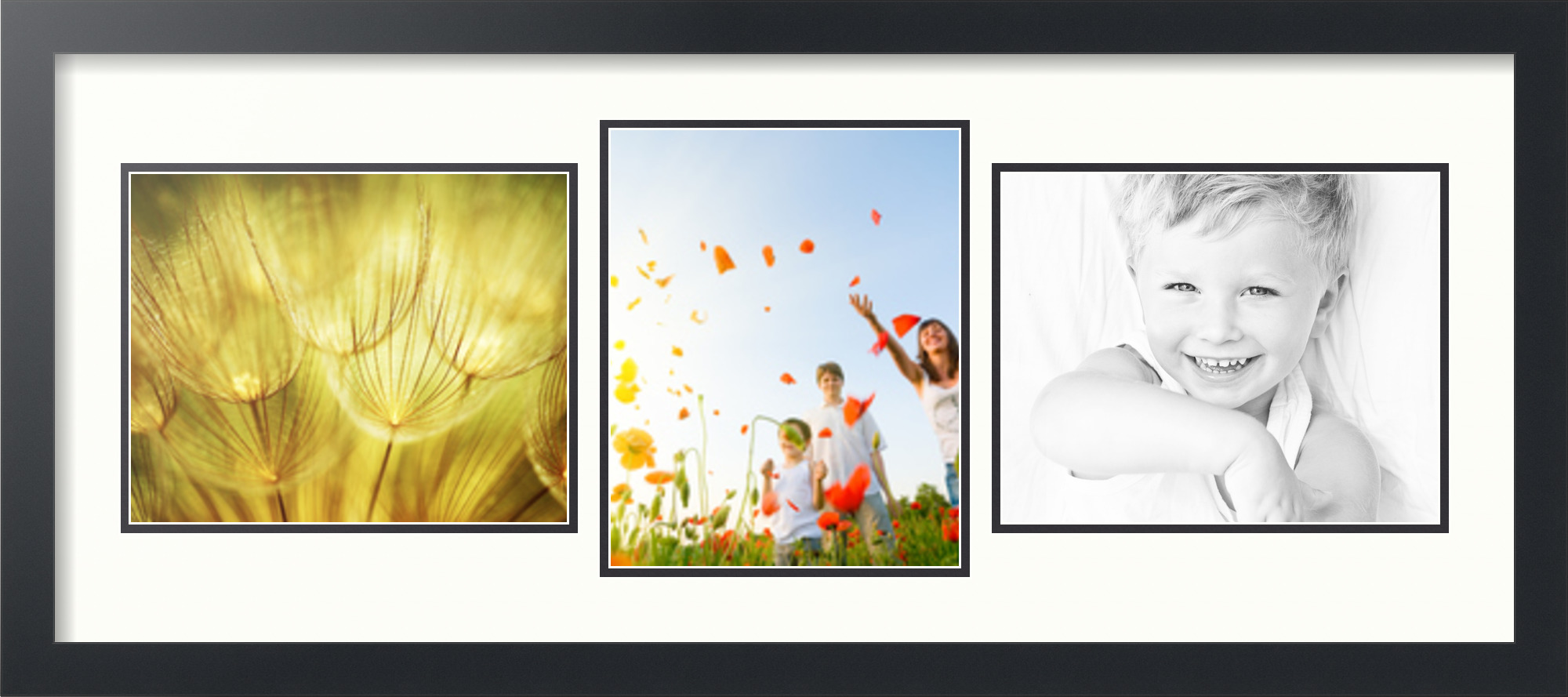 Satin Black Collage Picture Frame with 3 8x10 opening(s), Double