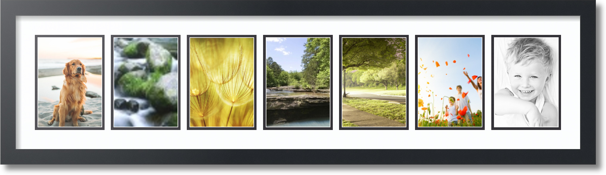 Satin Black Collage Picture Frame with 7 5x7 opening(s), Double