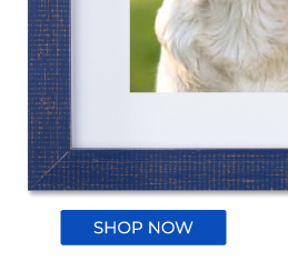 MATTED FRAMES