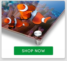 Acrylic Prints