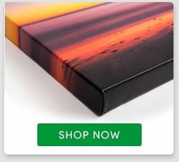 Canvas Prints