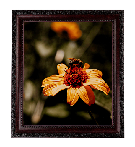 6” x 9” Classic Burgundy - Picture Frame with Tru Vue Reflection Control Glass ® - Finished size 8.5” x 11.5”